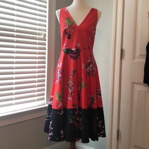 Ted Baker Oasis Dress